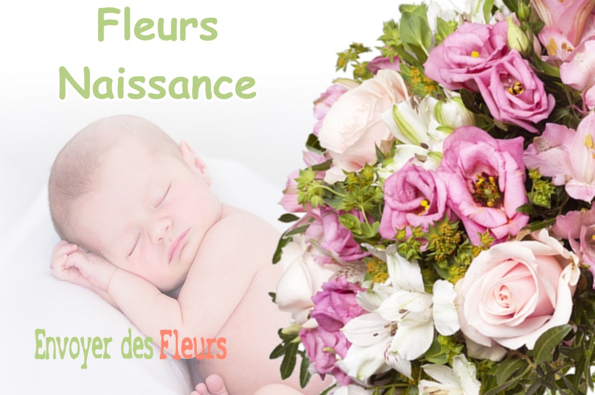 lIVRAISON FLEURS NAISSANCE à TULLINS